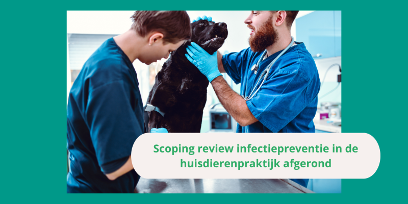 Scoping review infectiepreventie in de huisdierenpraktijk afgerond