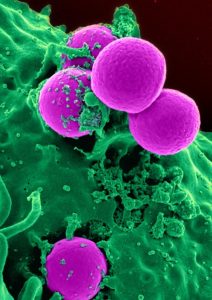 Infectiepreventieweek 2026