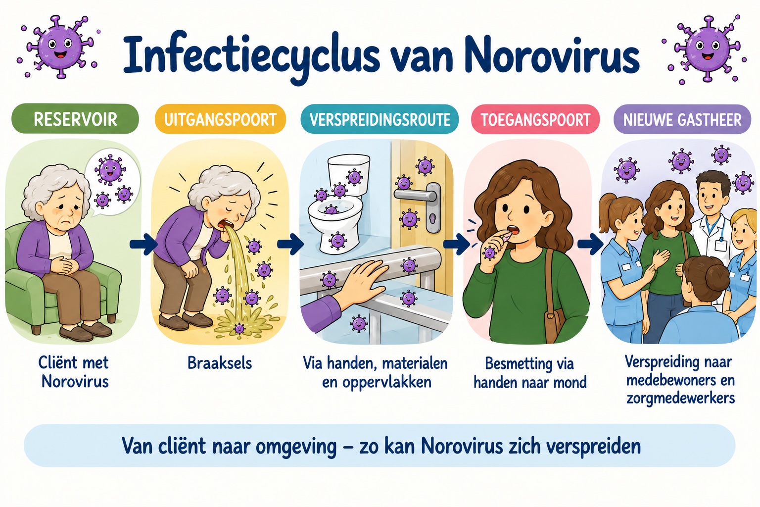 Infectiecyclus Norovirus